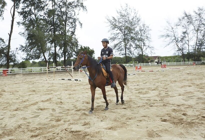 فندق Terengganu Equestrian Resort