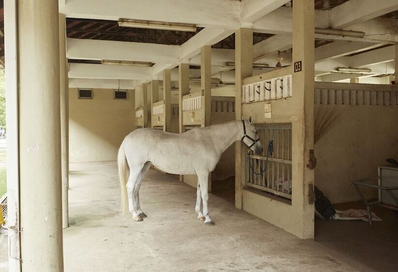 فندق Terengganu Equestrian Resort