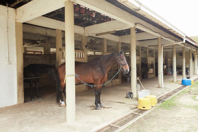 فندق Terengganu Equestrian Resort