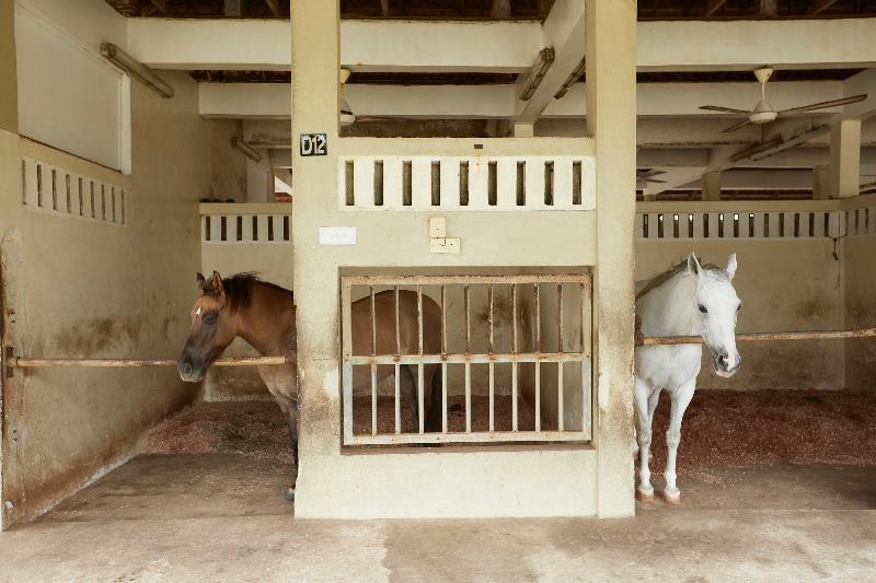 فندق Terengganu Equestrian Resort