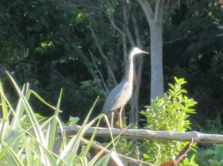 호텔 Thyme Out Estate