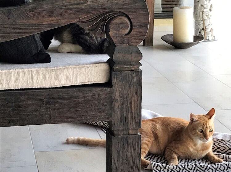 فندق Villa Kelapa Langkawi