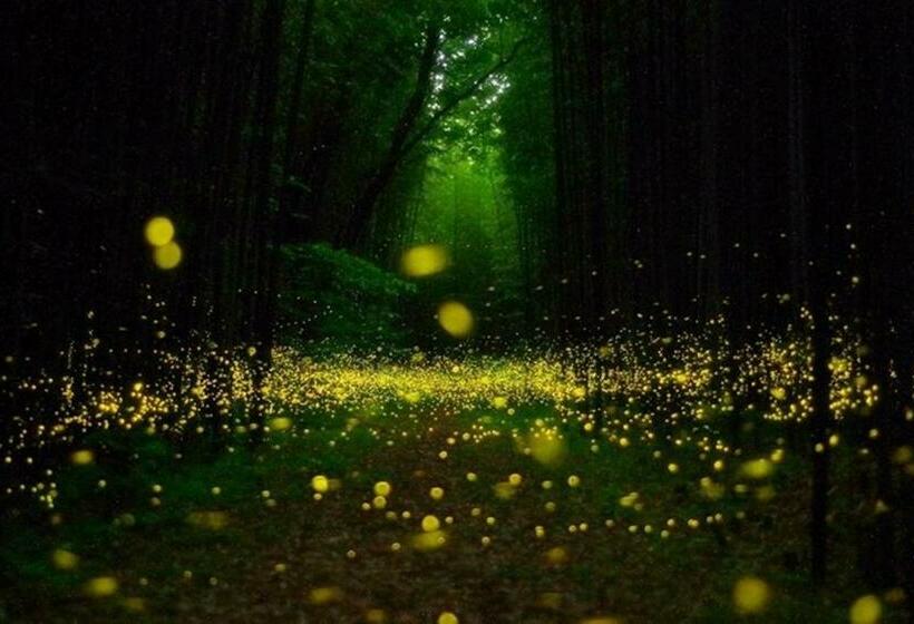 호텔 Wealthy Farmer\ S House / Vacation Stay 32241