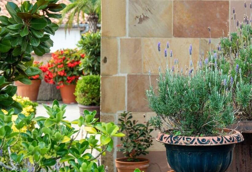 Apartamentos Costa Esmeralda