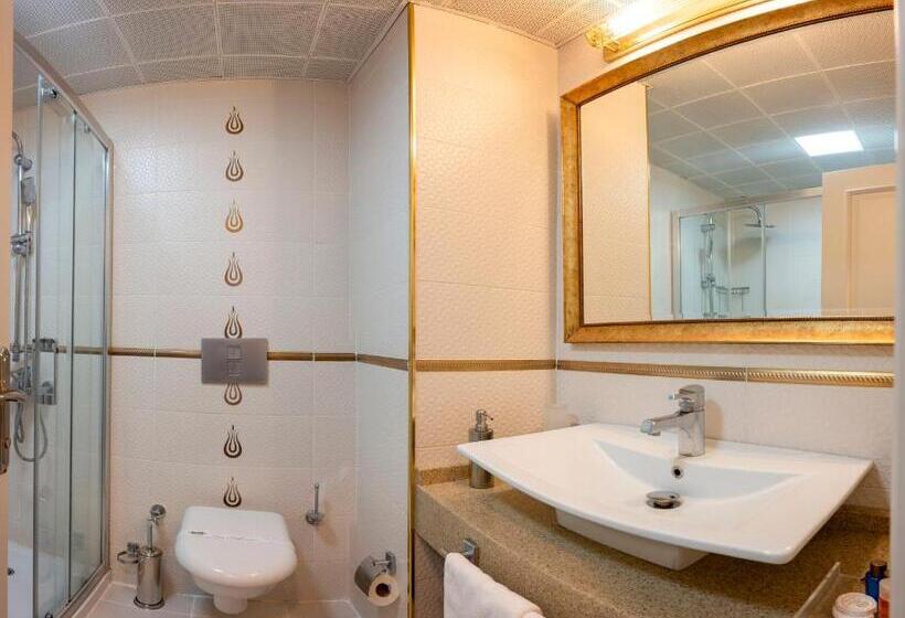 Arden City Hotel Special Category