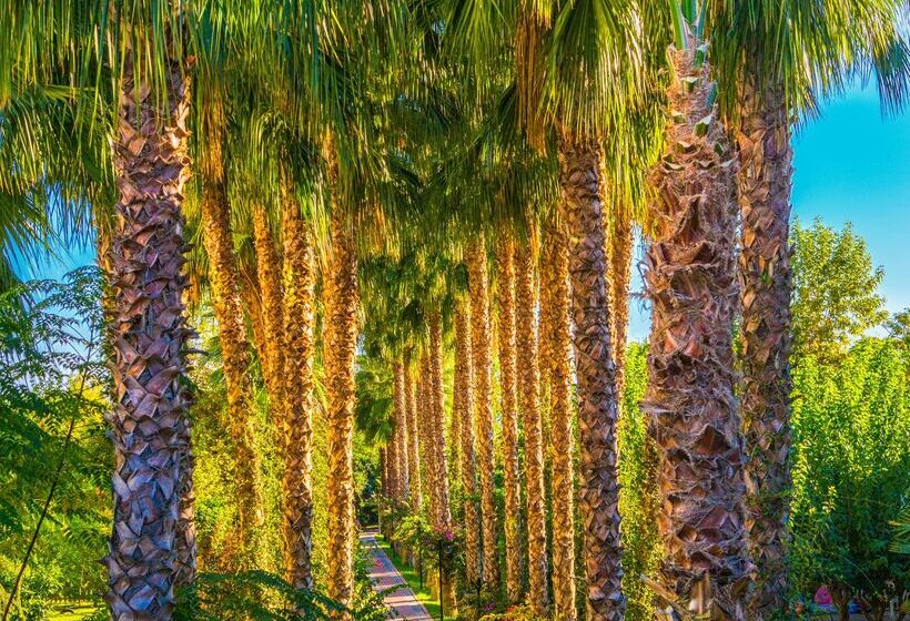 호텔 Gardenia Beach