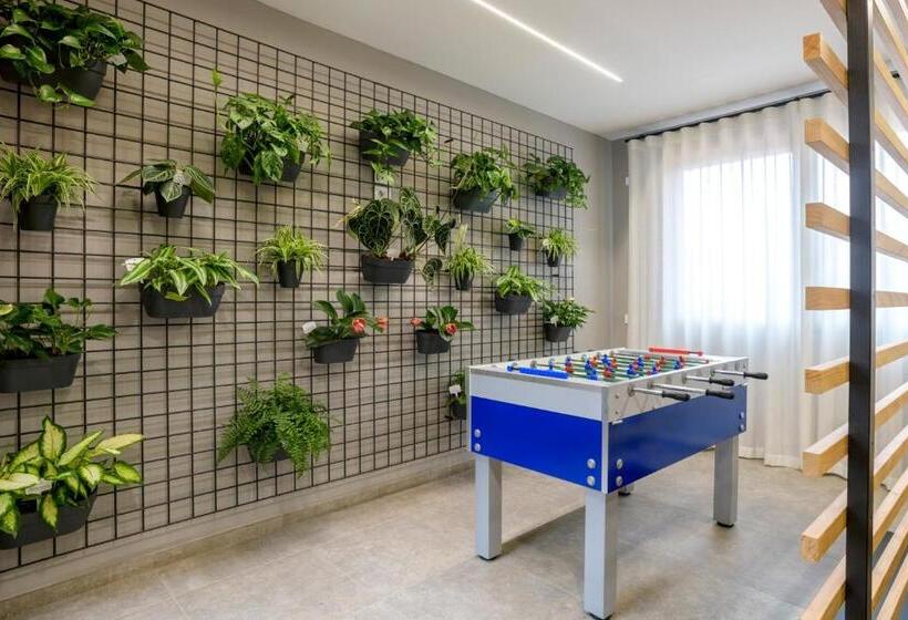 בית מלון כפרי Bareta