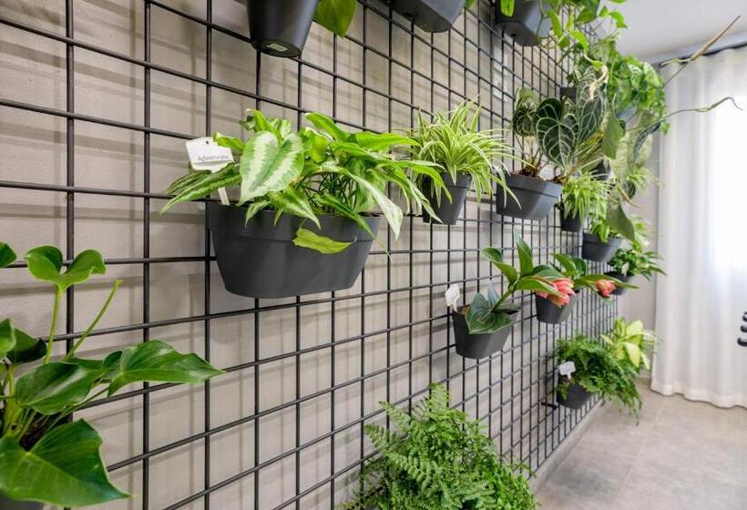 בית מלון כפרי Bareta