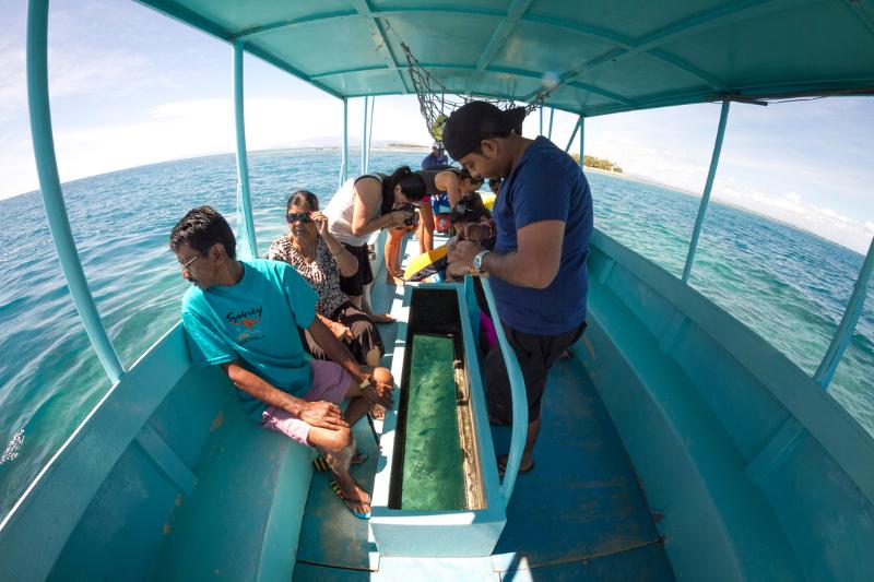 فندق Beachcomber Island Resort