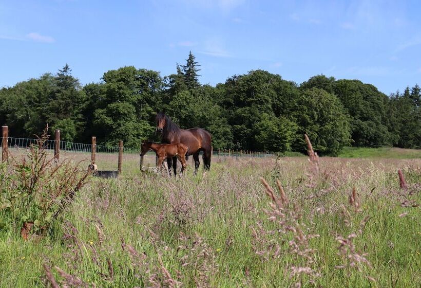 בית מלון כפרי Castlemartyr Resort