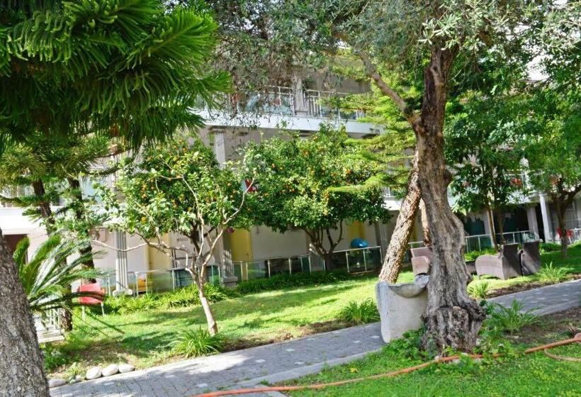 فندق Clover Magic Nova Beach