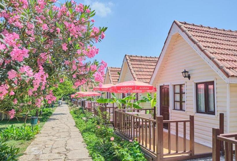 فندق Clover Magic Nova Beach