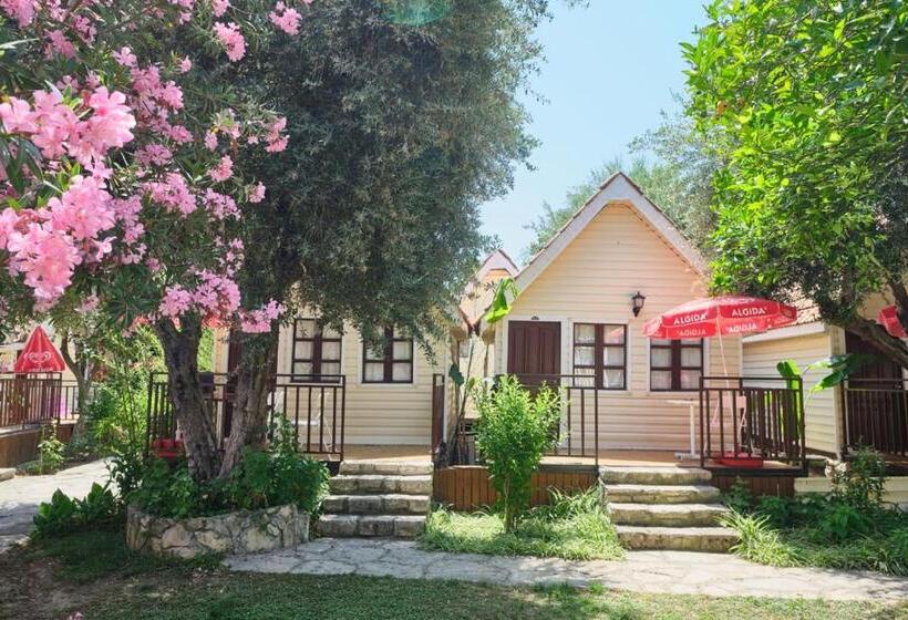 فندق Clover Magic Nova Beach