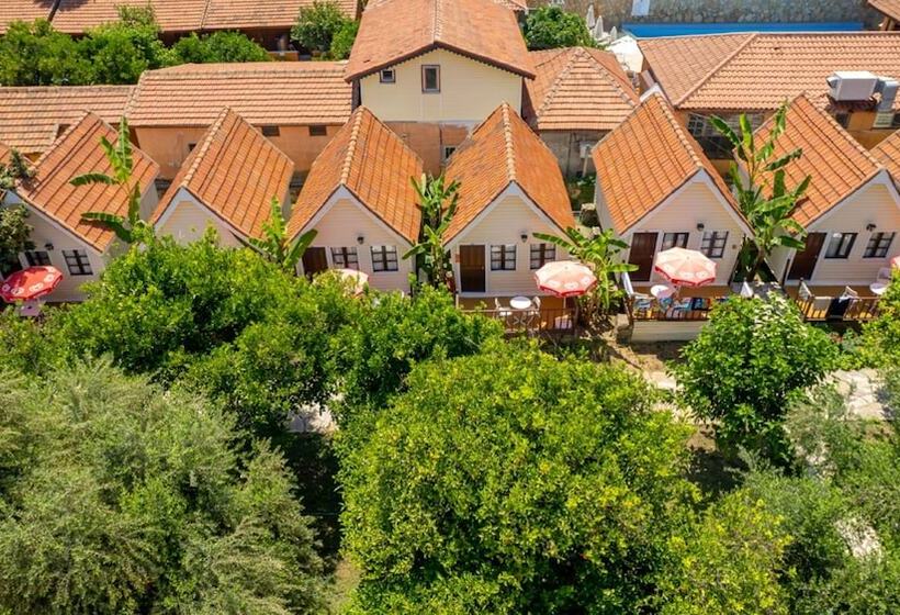 فندق Clover Magic Nova Beach