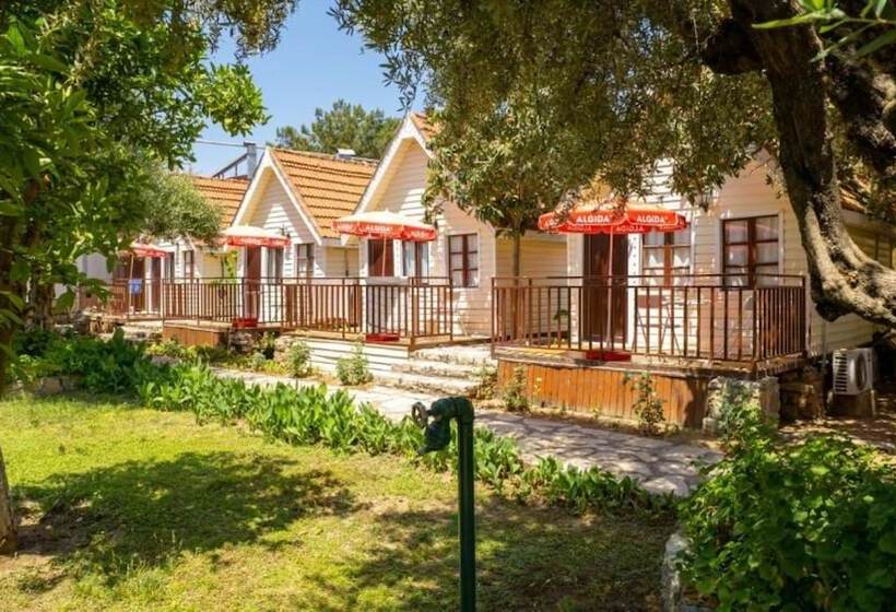 فندق Clover Magic Nova Beach