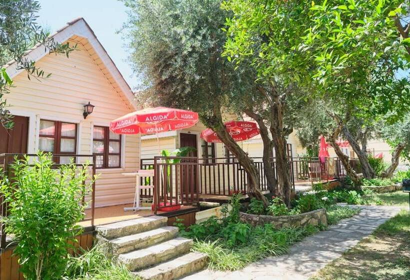 فندق Clover Magic Nova Beach