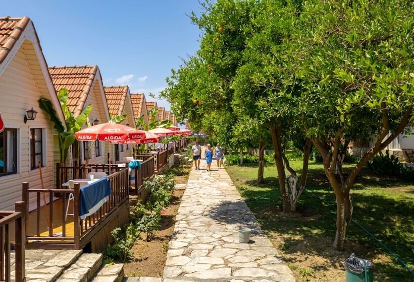 فندق Clover Magic Nova Beach