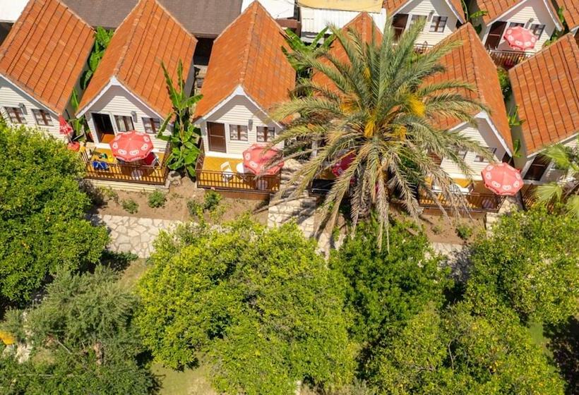 فندق Clover Magic Nova Beach