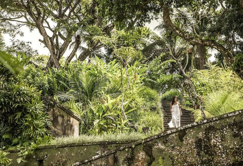 酒店 Como Shambhala Estate