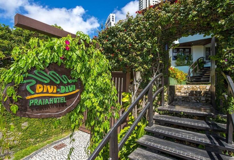 فندق Dividivi Praia