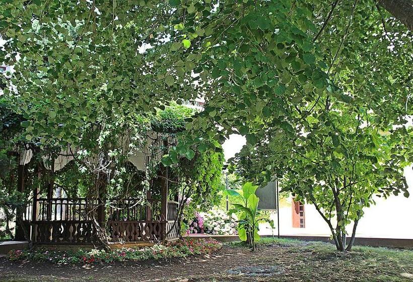 Duni Pelican Hotel   All Inclusive