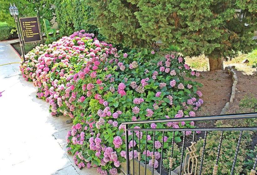 Duni Pelican Hotel   All Inclusive