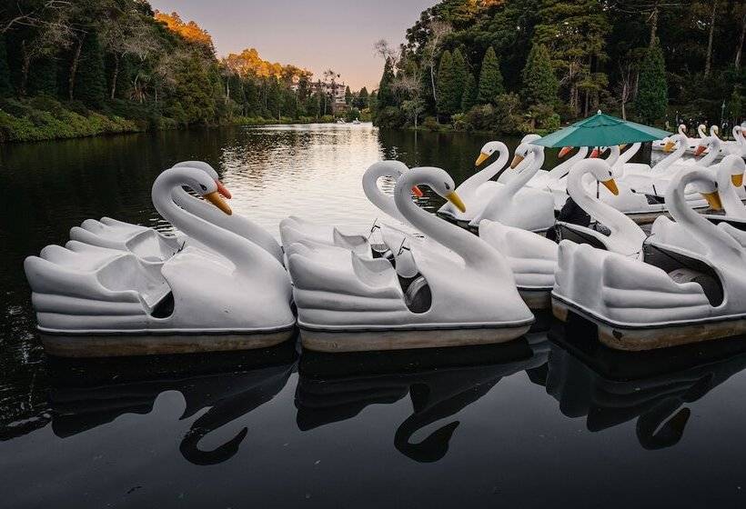 فندق Estalagem St. Hubertus