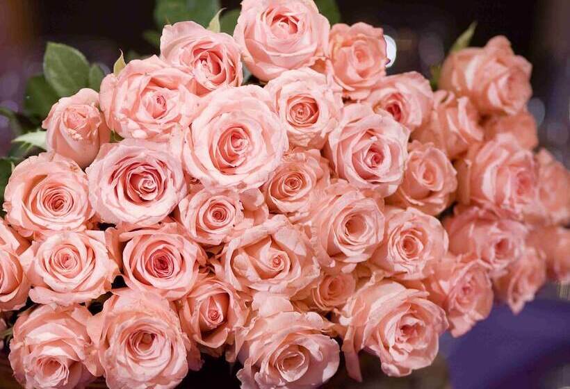 호텔 Grand Mercure Shanghai Hongqiao