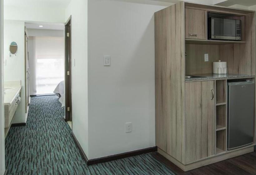 ホテル Holiday Inn & Suites Mexico Zona Reforma, An Ihg