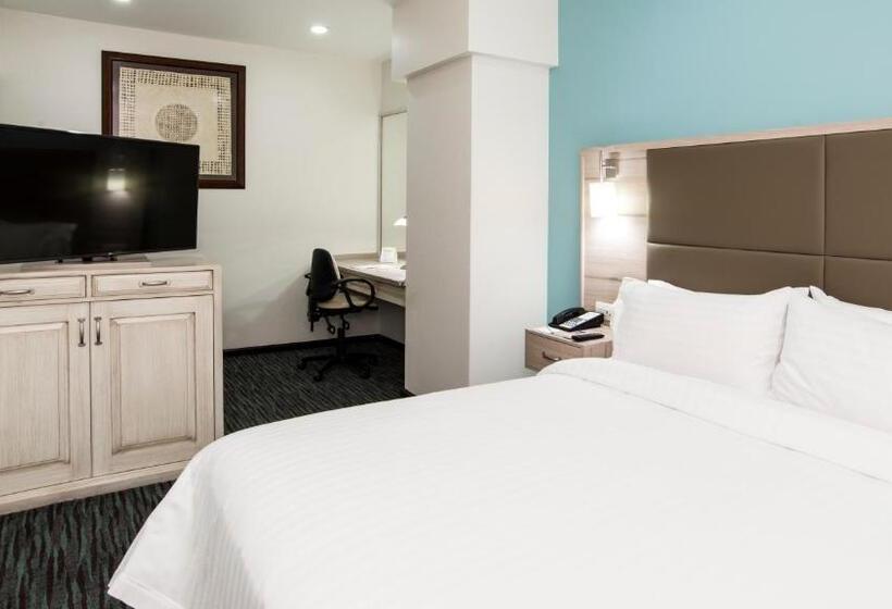 ホテル Holiday Inn & Suites Mexico Zona Reforma, An Ihg