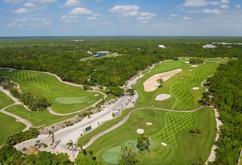 فندق JOIA Paraíso by Iberostar - Adults Only