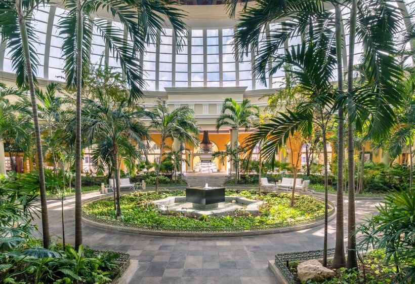 فندق JOIA Paraíso by Iberostar - Adults Only