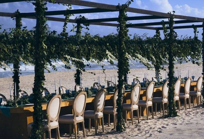 فندق JOIA Paraíso by Iberostar - Adults Only