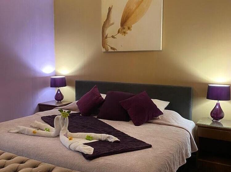 酒店 Jardines De Monteverde