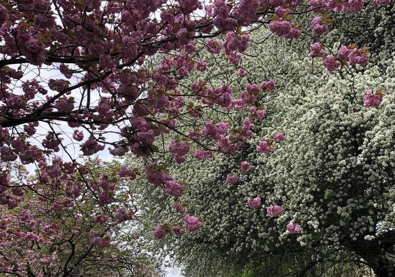 هتل Lancaster Hall