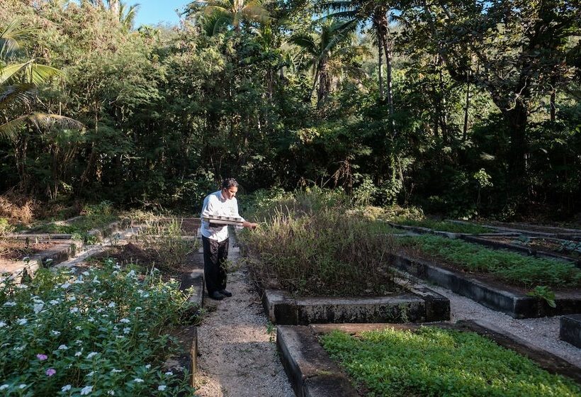 هتل Likuliku Lagoon Resort   Adults Only