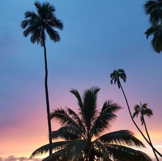 酒店 Mango Bay Resort