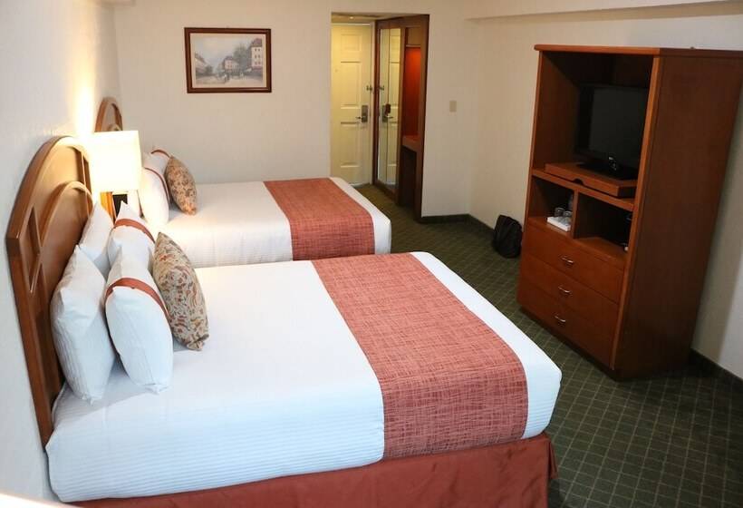 فندق Mision Pachuca