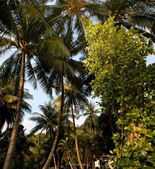 酒店 Perhentian Island Resort