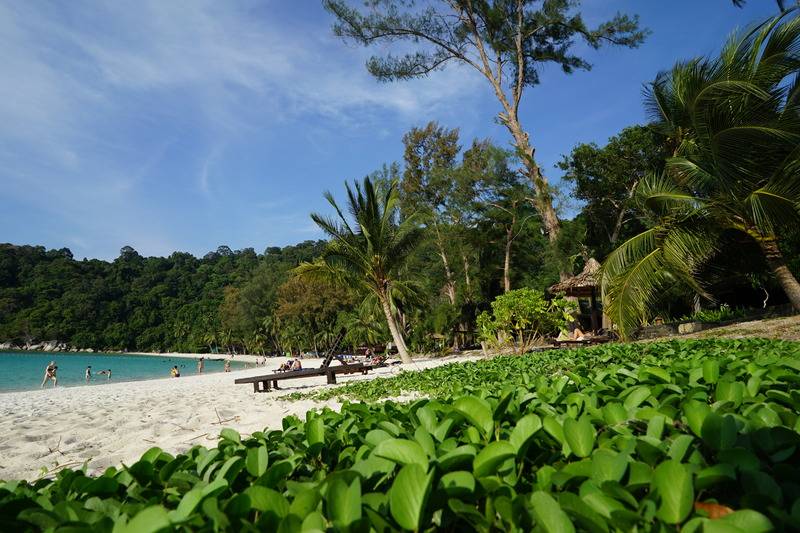 فندق Perhentian Island Resort