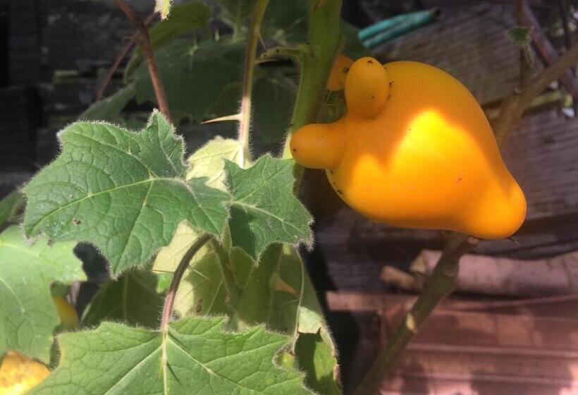 Отель Phu Pha Nam Resort