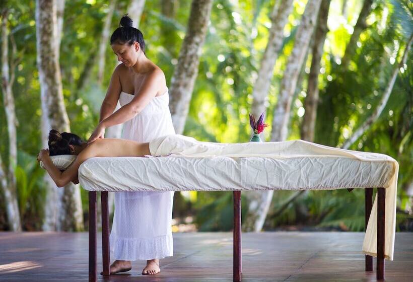 ホテル Playa Nicuesa Rainforest Eco Sanctuary