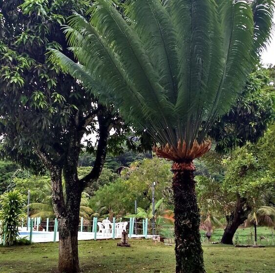 هتل Pousada Sitio Paraiso