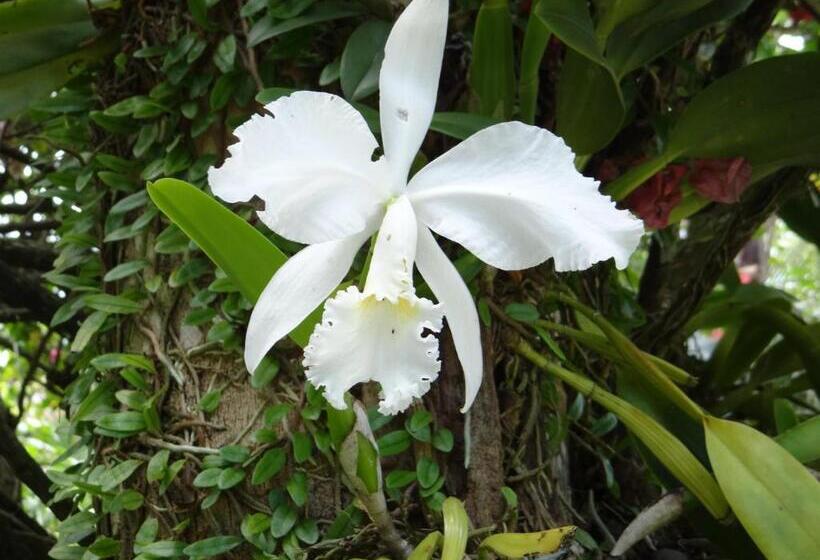 فندق Privillage Praia Pousada De Charme