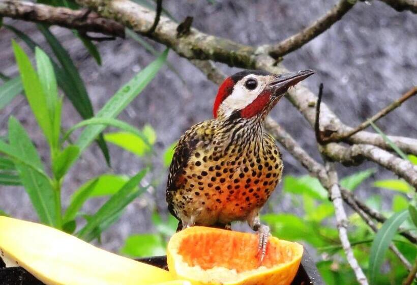 فندق Privillage Praia Pousada De Charme