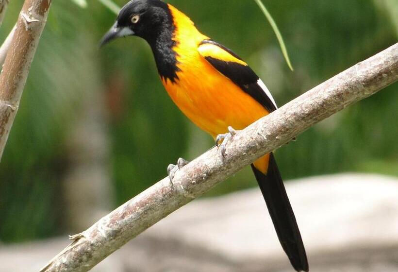 فندق Privillage Praia Pousada De Charme