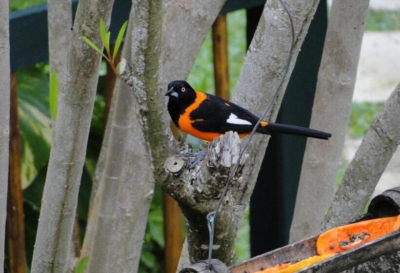 فندق Privillage Praia Pousada De Charme