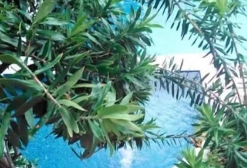 فندق Safari Natal Beach