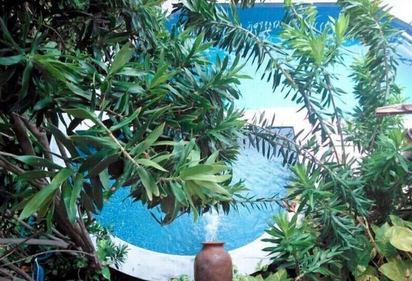 فندق Safari Natal Beach