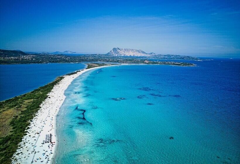 ホテル San Teodoro